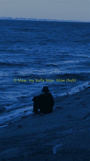 wellerman - nathan evans | lyrics | aesthetic | whatsapp whatsapp | English songs | slowed | sped up