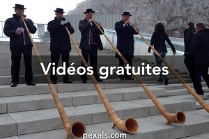 Cor des alpes vidéos de stock libres de droits