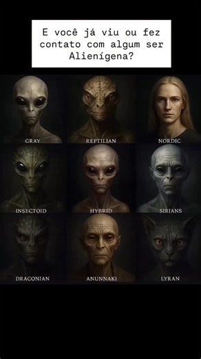 Casa Extraterrestre on Instagram: "Ao longo das décadas, ufólogos ao redor do mundo reuniram milhares de relatos de contatos com seres alienígenas, muitos descrevendo características similares — o que levou à catalogação de diferentes “raças” extraterrestres. Uma das mais conhecidas são os Greys, pequenos, de pele acinzentada e olhos grandes, frequentemente citados em abduções. Já os Reptilianos, descritos como seres altos, escamosos e de comportamento hostil, aparecem em relatos ligados ao cont