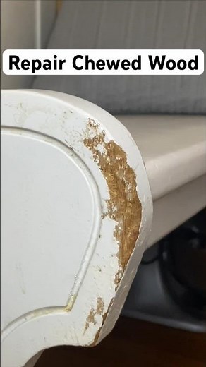 Repair Chewed or Damaged Wood | Fix Dog Chew | Wood Filler or Plastic Wood #diy #wood #repair #fix