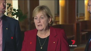 Daniel's Law: Bruce and Denise Morcombe are supporting Senator Derryn Hinch's re-launched petition for a national public register of convicted sex offenders. "We think it (sex offenders register) may have helped Daniel 14 years ago...Daniel's perpetrator may have said 'well I won't go down that road again, too many people know who I am, I might get caught" - Denise Morcombe. Petition: http://bit.ly/2s5pK1q More Info: http://bit.ly/2rlLvwX Facebook: Daniel Morcombe Foundation #DanielsLaw #7News |