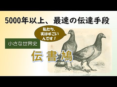 The History of Carrier Pigeons [Little World History 78]