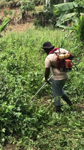Master Grass Cutting in Minutes | Brush Cutter Tutorial 🚜💥
