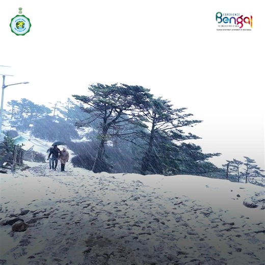 584K views · 322 reactions | Experience the ultimate trek to...