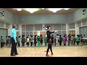 Flying High ( Teach & Dance ) - Line Dance by Jan Yyllie