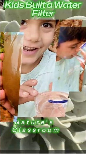 Kids Build a Water Filter – 💧 Nature’s Classroom in Action! #shorts