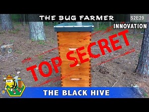 Hidden Compartment Beehive Tool Cabinet - Black hive with hidden features and secret compartment.