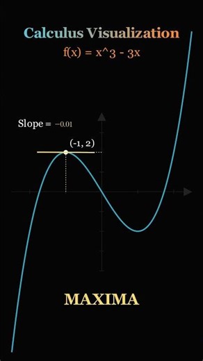 Calculus Visualization Function maxima and minima #mathematics #chemicalengineering