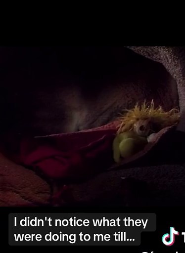 Can we talk about how this conversation happens in the SECOND EPISODE of the show? Fraggles weren’t holding any punches even in the beginning. Also I love the lighting and Gobo blowing out the candle in this scene, feels very homey and nostalgic. #fragglerock #fragglecore #fraggletok #fraggles #fragglerocktiktok #muppets #wembley #wembleyfraggle #gobofraggle #gobo