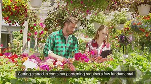 Container Gardening Basics Getting Started