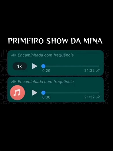 PRIMEIRO SHOW DA MINA. #zapvideos #zapzap #audiosdozap #viralvideo