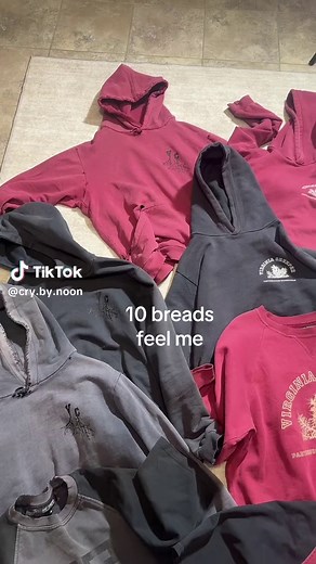 Delicious Bread Varieties to Savor