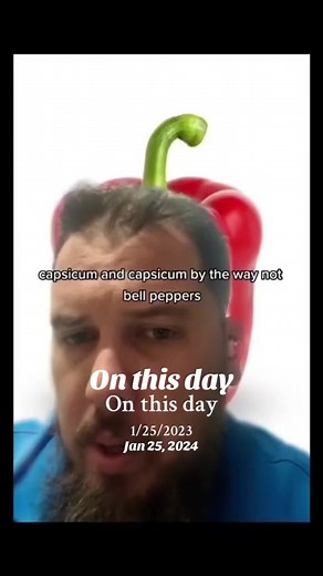 Celebrating Bell Peppers: A Culinary Exploration