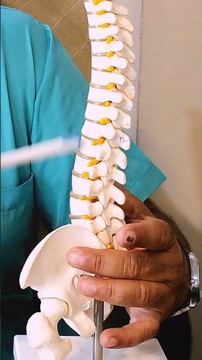 Retrolisthesis Exercises: Improve Low Back Pain Fast #lowbackpain