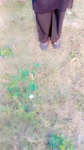 Embrace Nature's Beauty Through Poetry