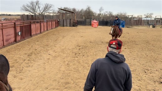 We are excited to add World renowned and Hall of Fame member Mr Punk Carter and his personal assistant to the Adult clinic and his personal assistant to the spring 1 clinic. Here’s a little sneak peak to what you will be working on👀 | Martha Josey-Josey Ranch