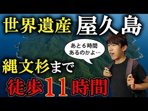 4-Day Yakushima Adventure with JAL | 11-Hour Trek to Jomon Sugi & World Heritage Exploration