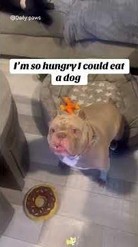 I’m So Hungry I Could Eat a Dog! 😂🐶 (Challenge)