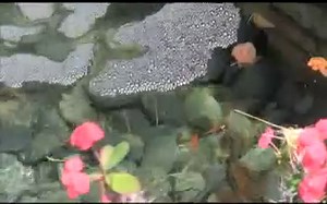 Free Form Dance Movement - Benefits of Moving Your Body