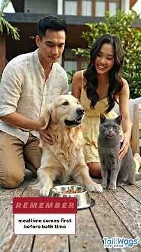 Give Your Pets the Care They Deserve! 🐶🐱 Tail Wags Clean & Treat Bundle