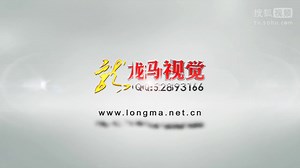 logoLM25-15-Corporate Logo IX Light-魅力光线条标志揭示A