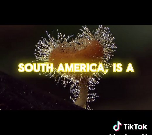 ‏fun facts , one minute to be amazed#factsoftheday