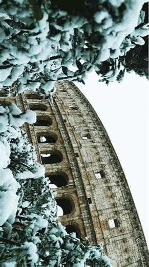 🌲 🍀 only nature can heal you 🍀 🌲