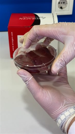 Biovision on Instagram: "🧬 DNA Extraction Protocol with the Wonderful Wiragen Kit ✨ 🧪 Sample type: Liver tissue (25–50 mg) 📍 Tube: 1.5 mL sterile microcentrifuge tube 🔹 1. Sample Preparation and Lysis 1️⃣ Add 25–50 mg of liver tissue sample into a 1.5 mL microcentrifuge tube. 2️⃣ Add 200 μL of Lysis Buffer (LBB5) (from the Wiragen kit). 3️⃣ Add 20 μL of Proteinase K solution (20 mg/mL) (from the Wiragen kit). 4️⃣ Mix immediately 🔄 and incubate at +70°C 🌡️ for 1 hour, vortexing occasionally