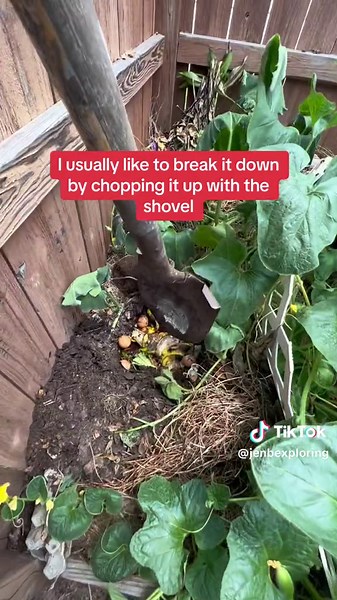 Easy Composting Tips for Beginners