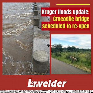 Kruger visitors can enter through Crocodile Bridge Gate from tomorrow, January 22, but need to take note of precautions outlined by SANParks. Read more here: https://www.citizen.co.za/lowvelder/news-headlines/local-hard-news/2026/01/21/video-crocodile-bridge-scheduled-to-re-open/ | Laevelder / Lowvelder