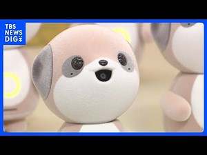 背景に”ぬい活”？AI搭載最新「ぬいぐるみ」ロボット シャープが発表 カメラ搭載 “自由に会話”｜TBS NEWS DIG