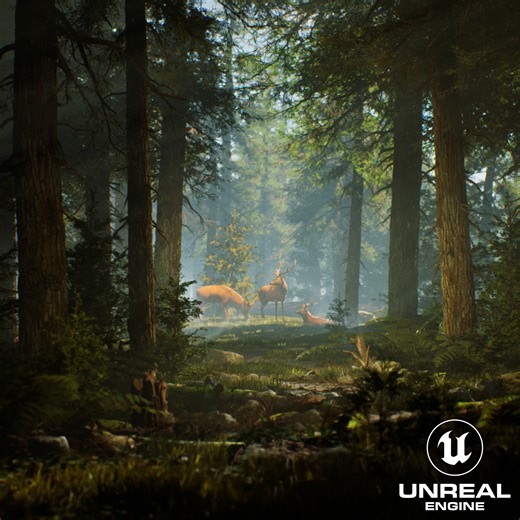 Nanite Pine Tree Forest Environment UE5, Evgeniy Li