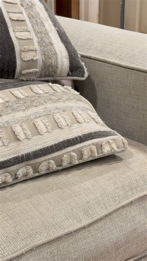 Kitten pillow fortress 😹😹😹 | Sapphire Kittens