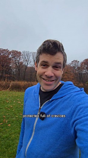 81K views · 1.6K reactions | Why your toothbrush is contaminated #bathroom #bacteria #toothbrush | Kyle Cox | Facebook