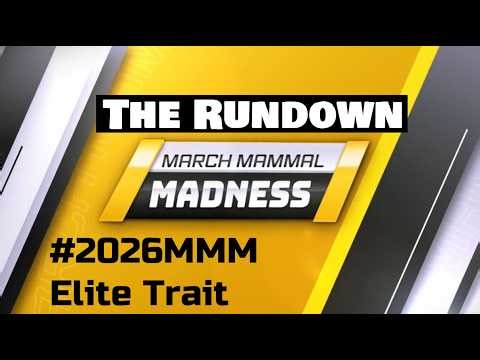 #2026MMM Elite Trait