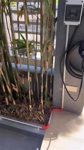 *⚡ Get a _Fast, Safe & Pro_ Wall Charger Installation!* - *10m Standard Installation 1-Year Warranty* - *Includes:* - RCBO & Surge Protection for safety - *Phelpdodge Copper Wire (8.0mm²)* for efficiency - Conduits, fittings, DOE-accredited install - *Freebies 🎁:* - Digital Power Meter - Portable Outlet Perfect for powering up your setup—hassle-free! 💻🔋 Book now! 📲 Call/Viber: 09858316483 Chat with us directly! Let's discuss your EV charging needs. | EVolve Car Philippines