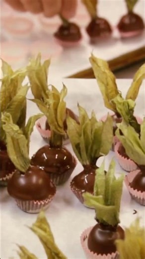 Have you ever tried a gooseberry?