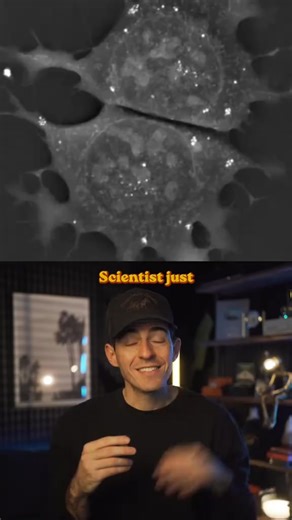 Scientists just figured out how to reverse aging with AI #ai #artificialintelligence #tech #techtok #technology #science #sciencetok #longevity #aging | Cookware Bakeware Sets