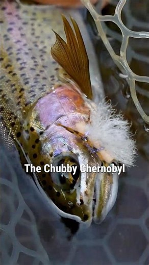 The Only Summer Dry Fly You Really Need
