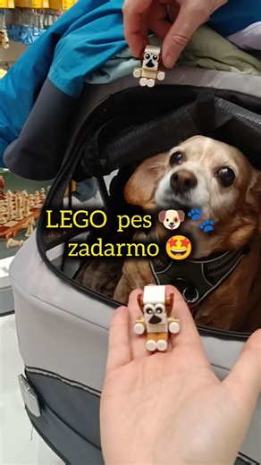 LEGO pes zadarmo, LEGO rozdáva bezplatne LEGO #lego