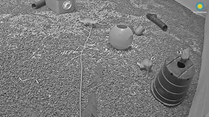 7.7K views · 372 reactions | Our black-ferret kits are three months old today!拾 Take a peak at our live Black-footed Ferret Webcam and you may spot them periscoping, or peaking their head out of the tube or flowerpot top to view their surroundings before venturing out. WATCH THE FERRETS: https://s.si.edu/3d4x9VFfooted | Smithsonian’s National Zoo and Conservation Biology Institute | Facebook