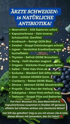 Das GEHEIMNIS: 16 natürliche Dinge, die wie Antibiotika wirken!!