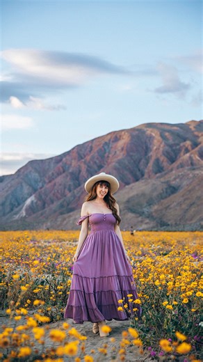 Natalia Hasenkampf | San Diego + Travel on Instagram: "11 Flower Blooms you cannot miss in and around San Diego 🌸 Here what to expect the next coming months, when to the blooms will happen and where to find them 🫶🏻 - Anza Borrego wild flowers, usually start mid March and last until beginning/ mid April (check Anza Borrego website for updates - Sea Lavender, all around San Diego and Del Mar (peak usually end of April beginning of May) - Wild Mustard , Chula Vista, peak end of March - Ceanothus