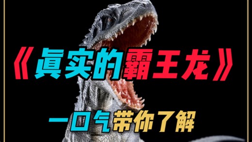 带你了解真实的霸王龙，暴龙的故事是这样的。