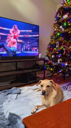 Kenny Omega vs Will Ospreay: Wrestling Holiday Showdown