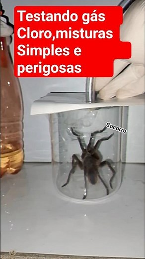 o gás cloro é realmente mortal ? teste prático .demonstração #química