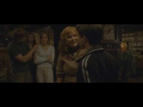 "Little Things" by One Direction, Harry Potter Music Video