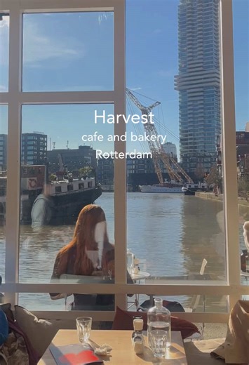 Harvest Café: Your New Favorite Spot in Rotterdam