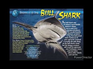 4 sea creatures sound effects