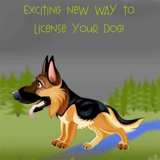 The Oakland County Animal Shelter and Pet Adoption Center will be launching a new website December 18th to facilitate purchasing dog licenses. Some new features of the website: • No price increase — license fees remain the same as last year • Fast and easy online registration • HomeSafe® 24/7 lost pet service included • Optional designer tags • Tags will be mailed directly to residents by DocuPet Important Dates to Remember • 2025 dog license expirations will be extended from December 31, 2025 t